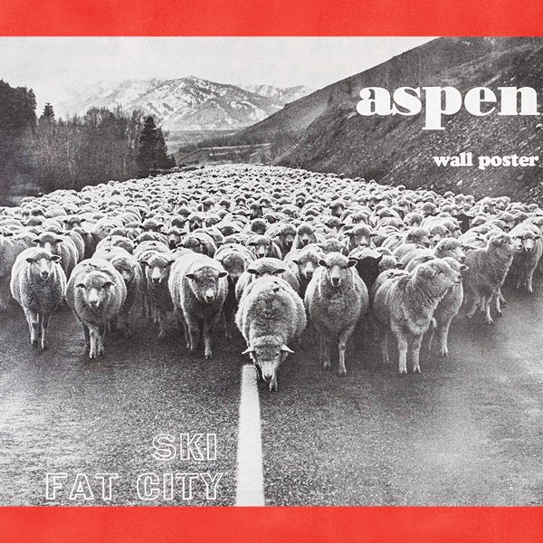 a black and white photograph of hundreds of sheep in the middle of a paved roadway. the text reads 
