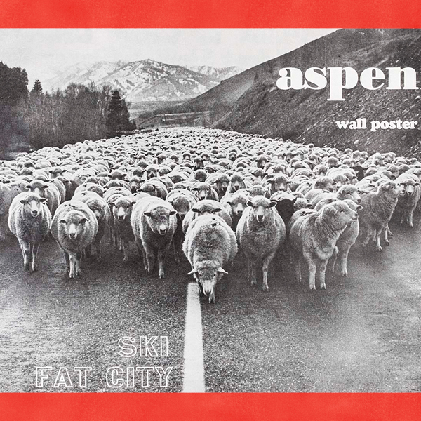 a black and white photograph of hundreds of sheep in the middle of a paved roadway. the text reads