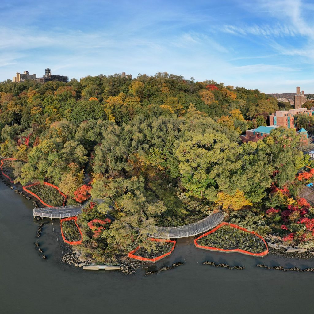 An aerial image of a park with trees alongside a river and watershed.
